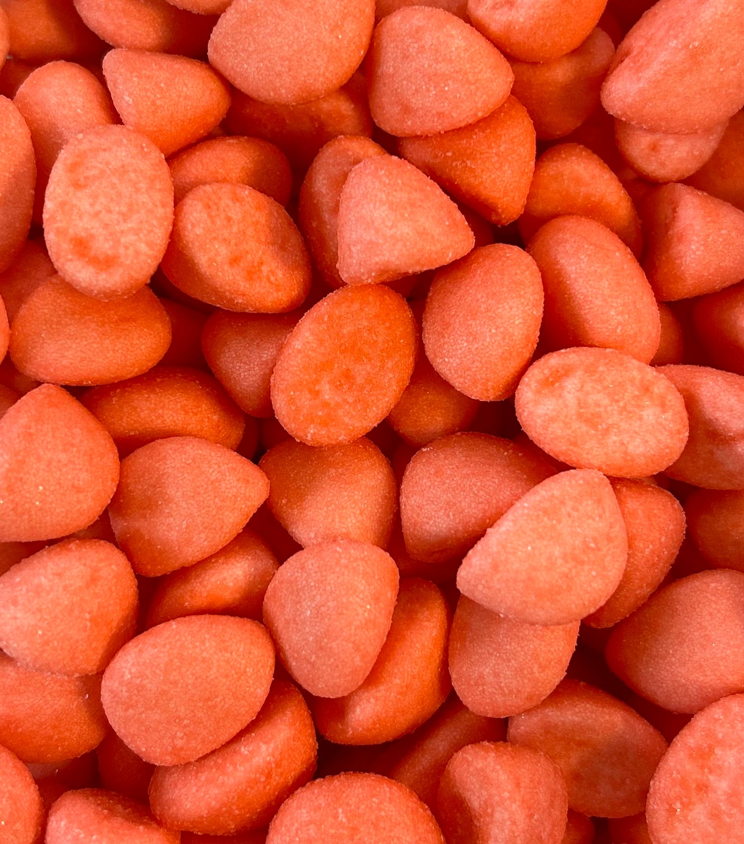 100g Primavera Erdbeeren klein
