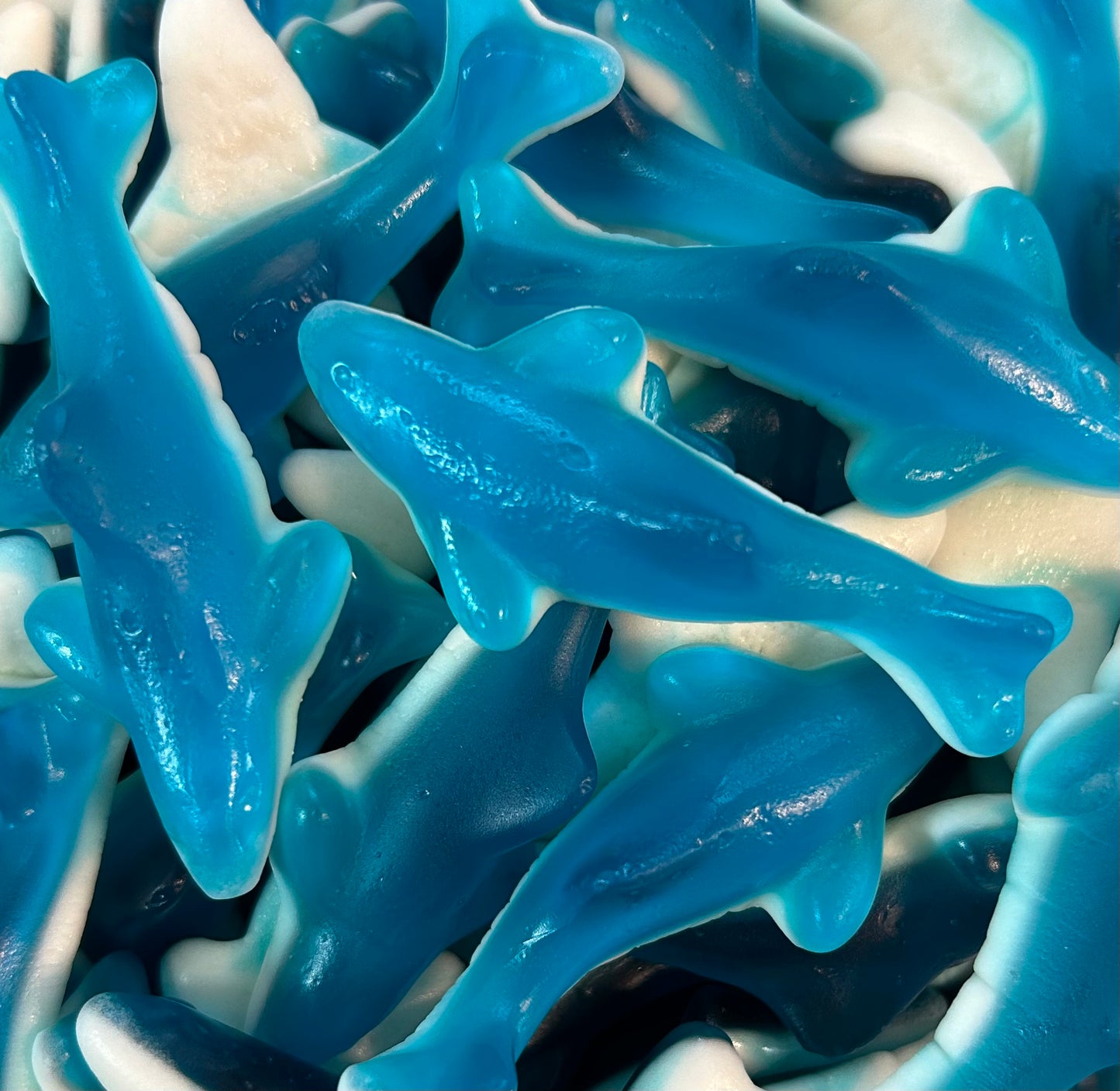 100g Haifische