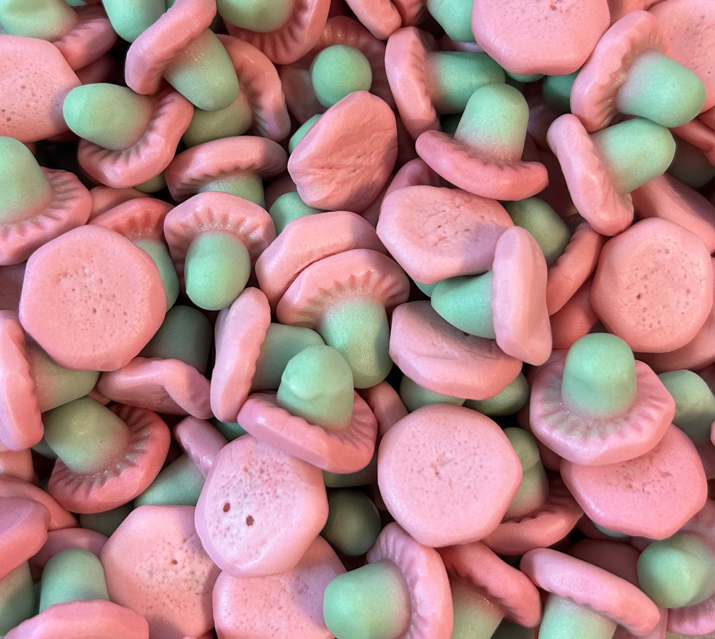 100g Die Sauren Pilze