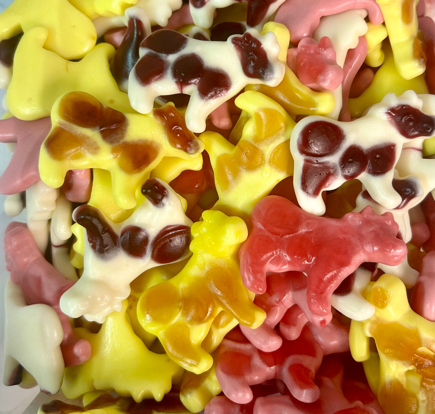 100g Milch Kuu
