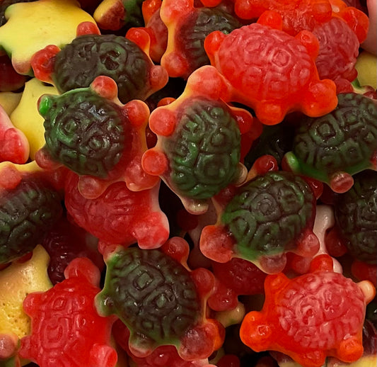 100g Turtles Jelly Filled